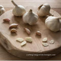 Top Grade Pure White Garlic Price